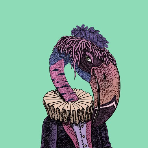Beak #1