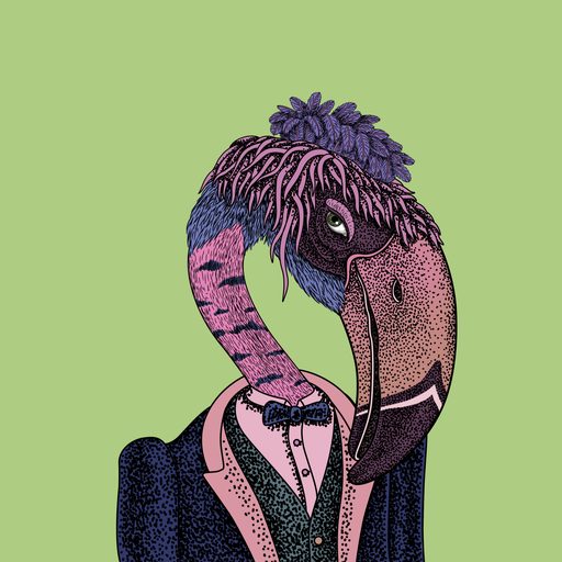 Beak #11