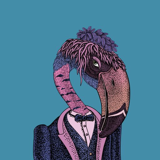 Beak #16