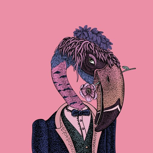 Beak #22