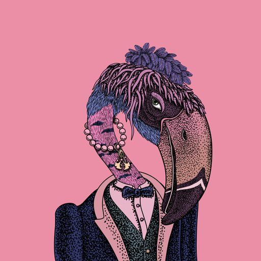 Beak #31