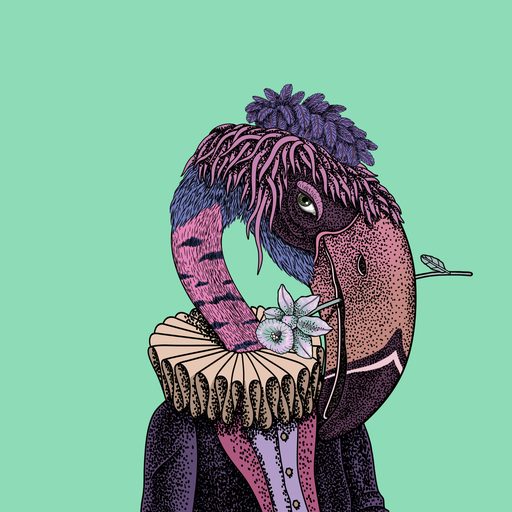 Beak #46