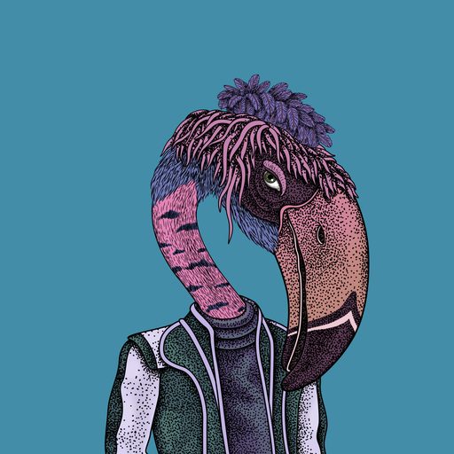 Beak #49