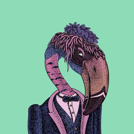 Beak #50