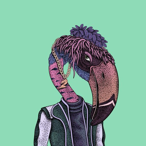 Beak #55